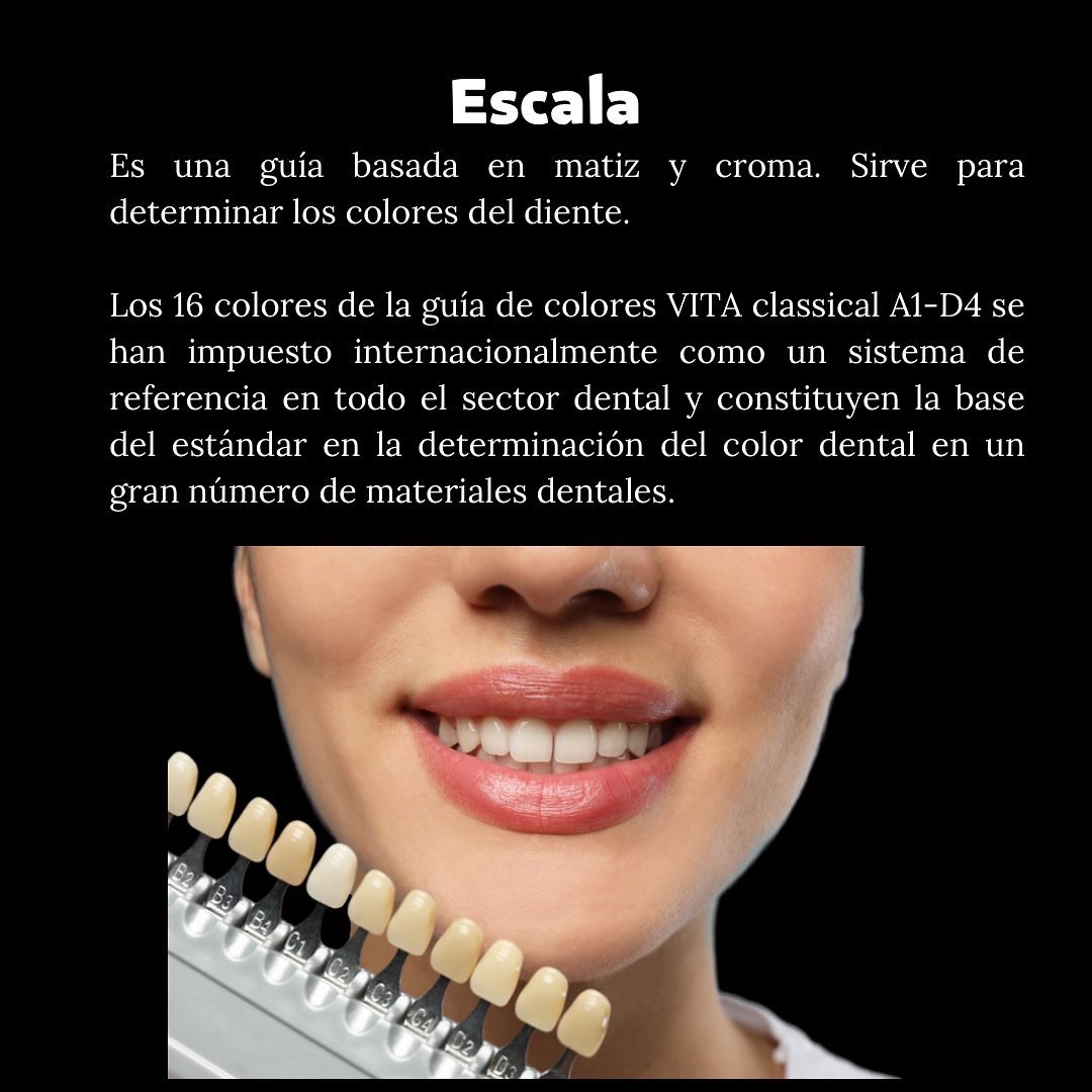 SEO_Unison's tweet photo. 🦷ESCALA VITA CLASSICAL🦷

#OdontoBúhos https://t.co/HUTaMy7Eou