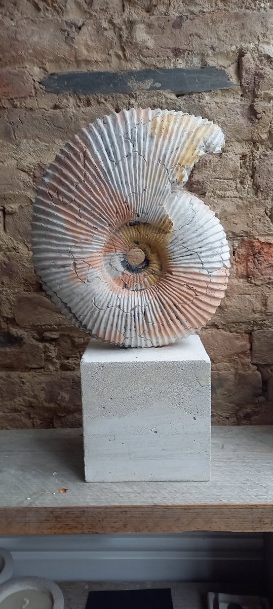 CastingAshes's tweet photo. Ammonite in warm tones of terracotta and ochre cast using entire amount of human ashes #cremationsculpture #sculpture https://t.co/dWkKWeMmM9
