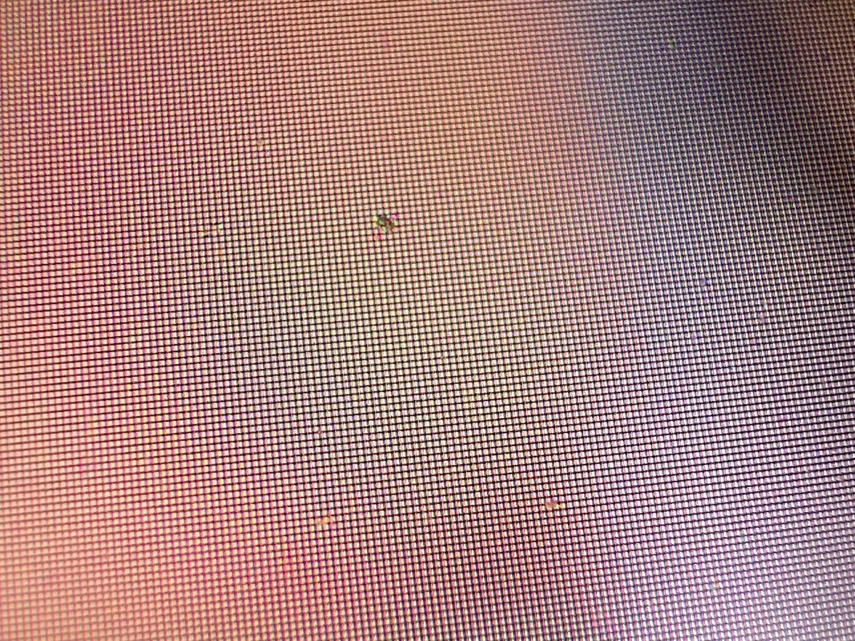 Max Weinbach tweet media