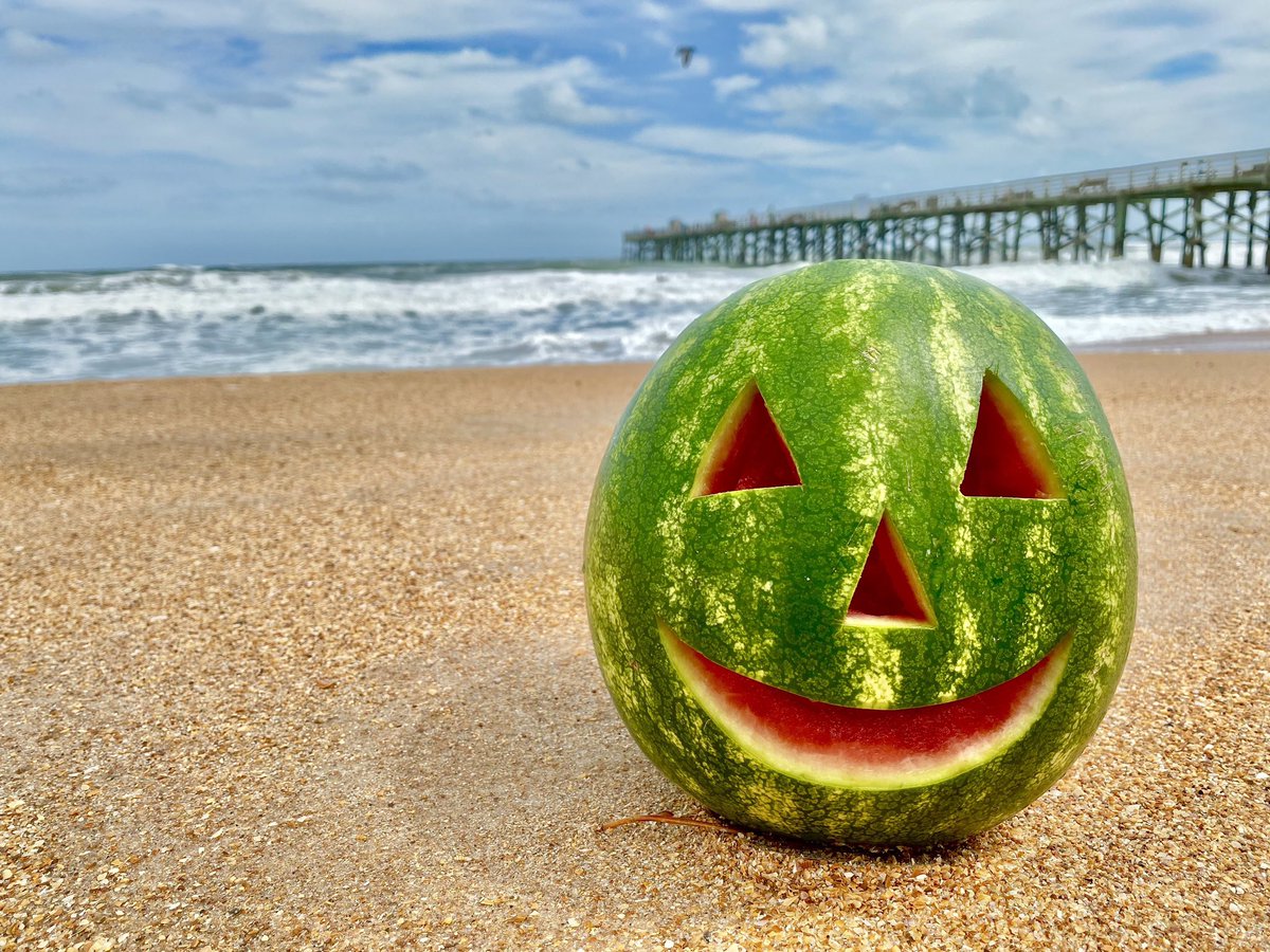 Visit Flagler tweet media