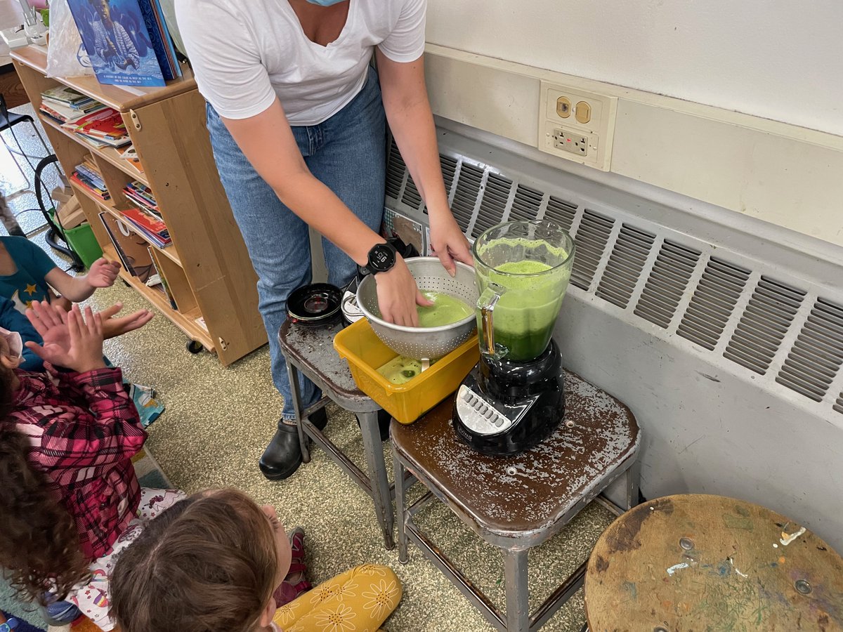 2nd graders harvested the indigo that they started from seed last year after reading the picture book, "Blue". In art class, Ms. Black blended it to make dye, and the students dyed yarn for a future weaving.