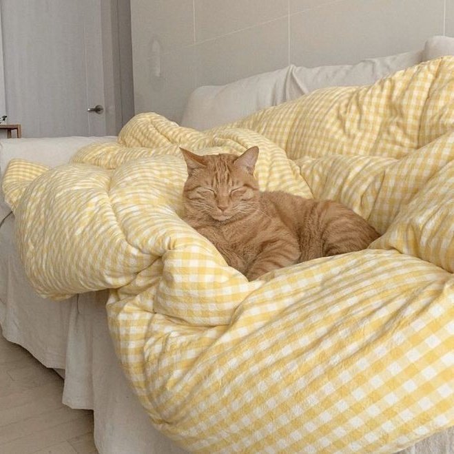 ⠀
⠀ ⠀lumine    𓂋    she  /  her
 ⠀⠀conan  gray  supremacy 
⠀ ⠀bellas artes   :   bisexual
⠀⠀
⠀