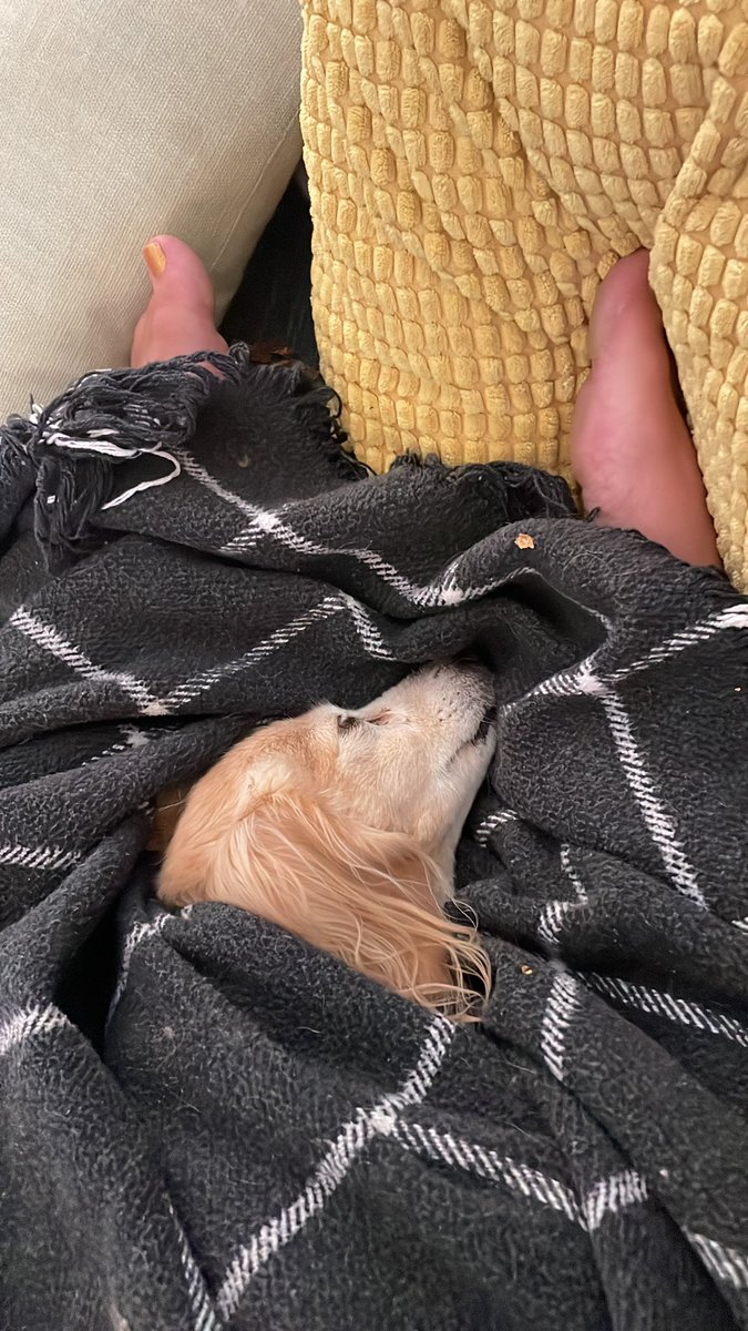 CMorgan's tweet photo. @ashhhhhhole Phoebe says GM❤️ https://t.co/5wL1PUrC7S