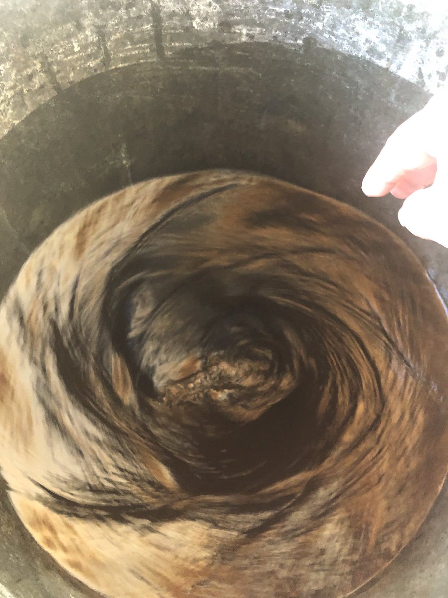 Bertrand011322's tweet image. Opposition lune-saturne 🌕🪐
Absence de vent, 22 degré. Bonnes conditions pour un p’tit 500 sur mon couvert végétal semé. Juste avant la pluie et la baisse des températures ☺️
.
.
.
#bio #biodynamie #beaujolais #blacé #gamay #biodiversité #bousedecorne #vignerons #vigneronne #vin