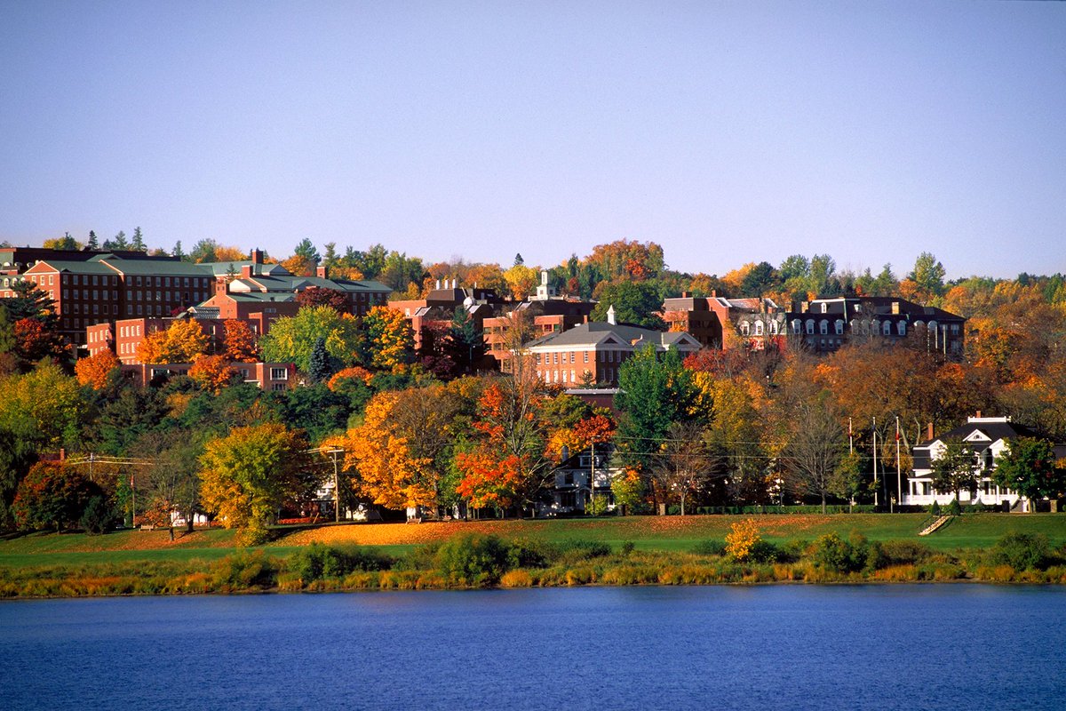 UNB's tweet photo. Congratulations to the greater Fredericton Area (City of Fredericton) on being named the #ForestCapitalOfCanada for 2023! We are proud to be celebrating #NationalForestWeek with you.

Read more: https://t.co/aBg6g4BgR5 https://t.co/EtGbmbvzxe