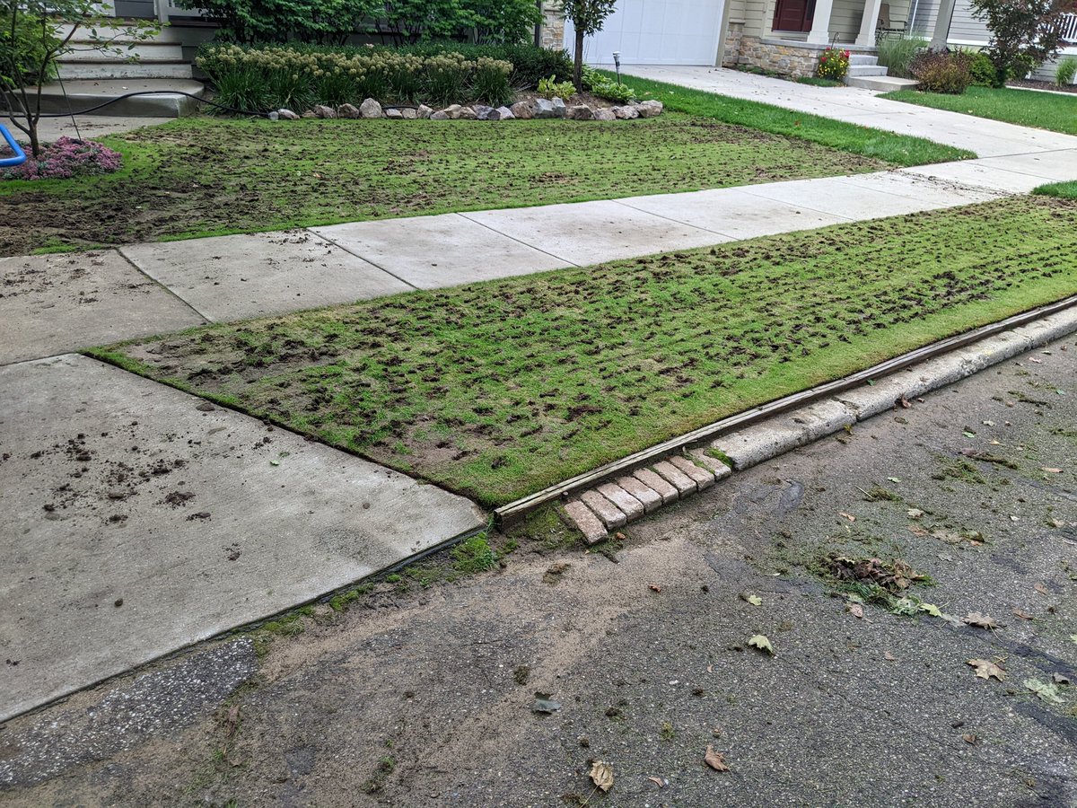 Ben werthmann tweet media