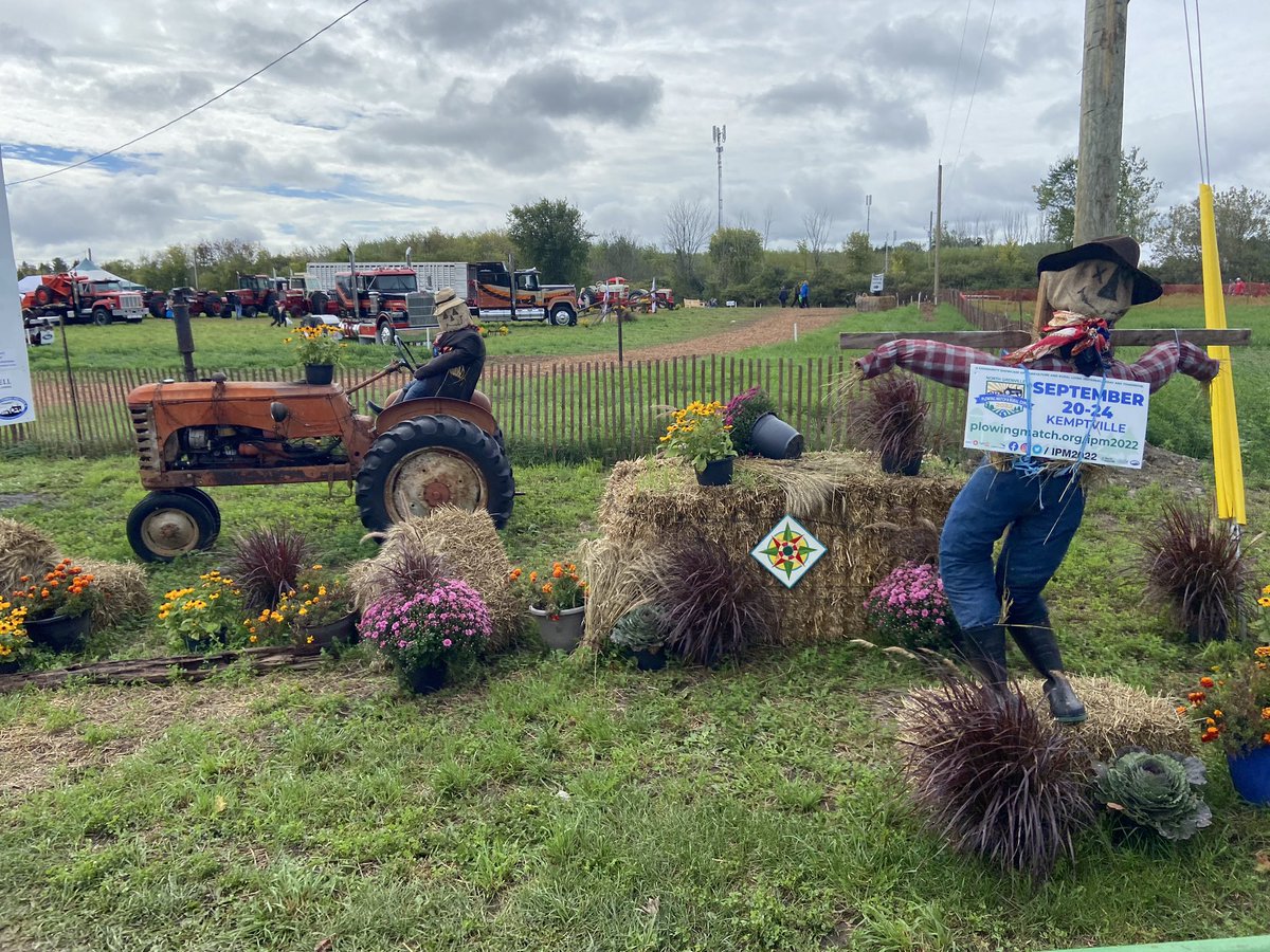 Melissa Crawford tweet media