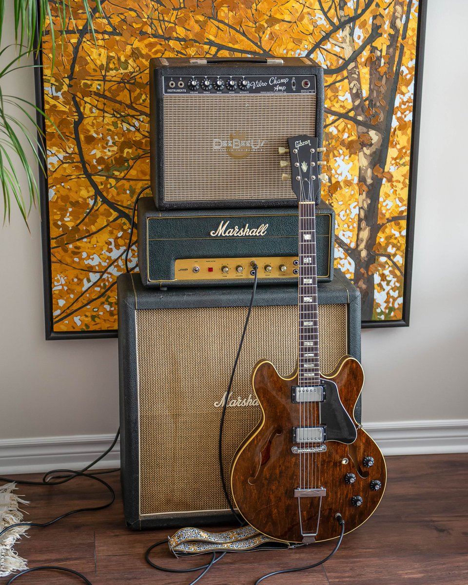 DeeBeeUs's tweet photo. #ThreeThirtyThursday
1971 #Gibson #ES335
1970 #Marshall #Lead20
1965 #Fender #VibroChamp https://t.co/imPSqjhaEX