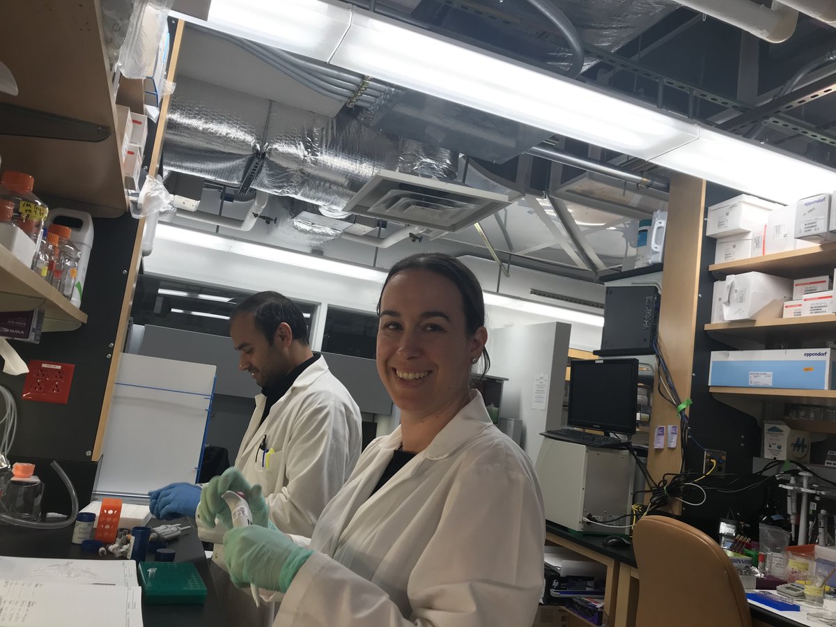PriyamvadaA_Lab's tweet photo. Shoutout to Acharya Lab postdocs @BhishemThakur &amp; Karunakar. Also former postdocs @sophie_gobeil &amp; @KarthikManne who blazed their trails thru the lab to their dream jobs in academia and industry, respectively. Thank you for the opportunity to be part of your scientific journeys!! https://t.co/HyGh9YYwmC