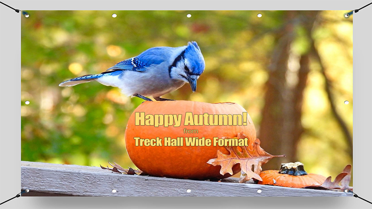 Wishing everyone a fabulous Autumn season!🍂
Including our <a href="/BlueJays/">Toronto Blue Jays</a> #gojaysgo #autumn2022 #treckhall🍁