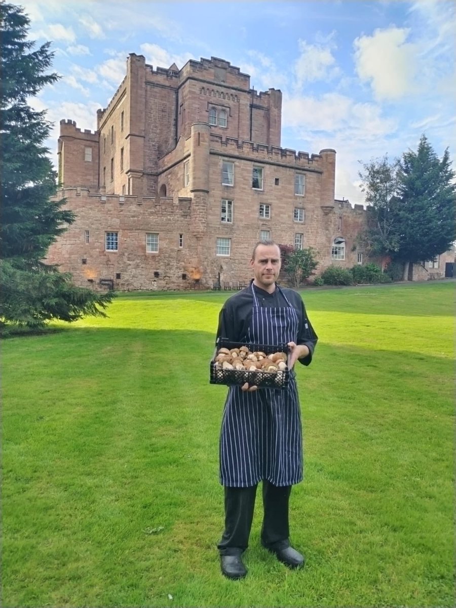 CastleDalhousie's tweet photo. Meet Nick.
๐ฐ Nick is one of our chefs at Dalhousie Castle & Aqueous Spa. Today he managed to forage 7 kilos of cepes ๐
#britishfoodfortnight #mushrooms #cepe #foraging #foragingscotland https://t.co/Az5aDZG61Z