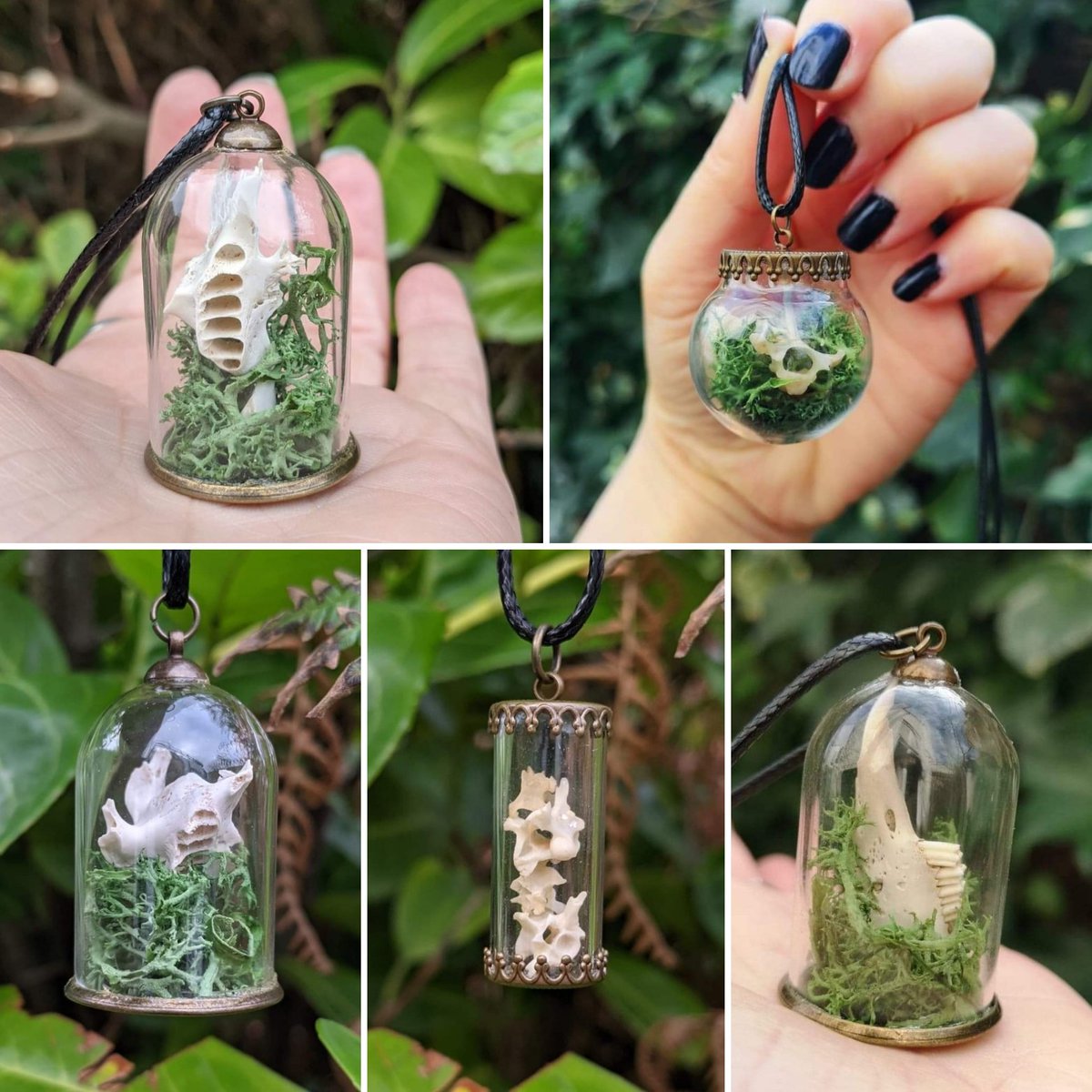 _feraline_'s tweet photo. Mossy foraged bone mini terrarium necklaces 🌿 Available on Etsy ~ https://t.co/LtzqvsNFXp 🖤

#foragedbones #bonenecklaces #bonejewellery #terrariums #curiovials #goblincore #darkcottagecore #witchythings #foragedandfound #skulls #naturaljewellery #paganjewellery #vultureculture https://t.co/r8AiKhSPtr