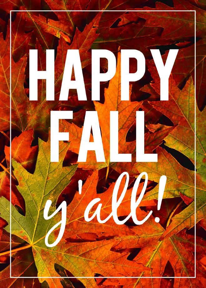 EDSconcrete's tweet photo. Happy first day of Fall! https://t.co/qn0gwYahGs