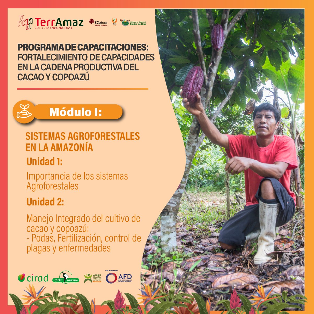 TerrAmaz's tweet photo. Madre de Dios - Perú 🇵🇪
#ProgramaDeCapacitaciones | FORTALECIMIENTO DE CAPACIDADES EN LA CADENA PRODUCTIVA DEL CACAO Y COPOAZÚ.
Como parte del Programa de Fortalecimiento de capacidades en la cadena reproductiva del cacao y copoazú se trabajarán los siguientes temas: https://t.co/3x5A80c8Jf