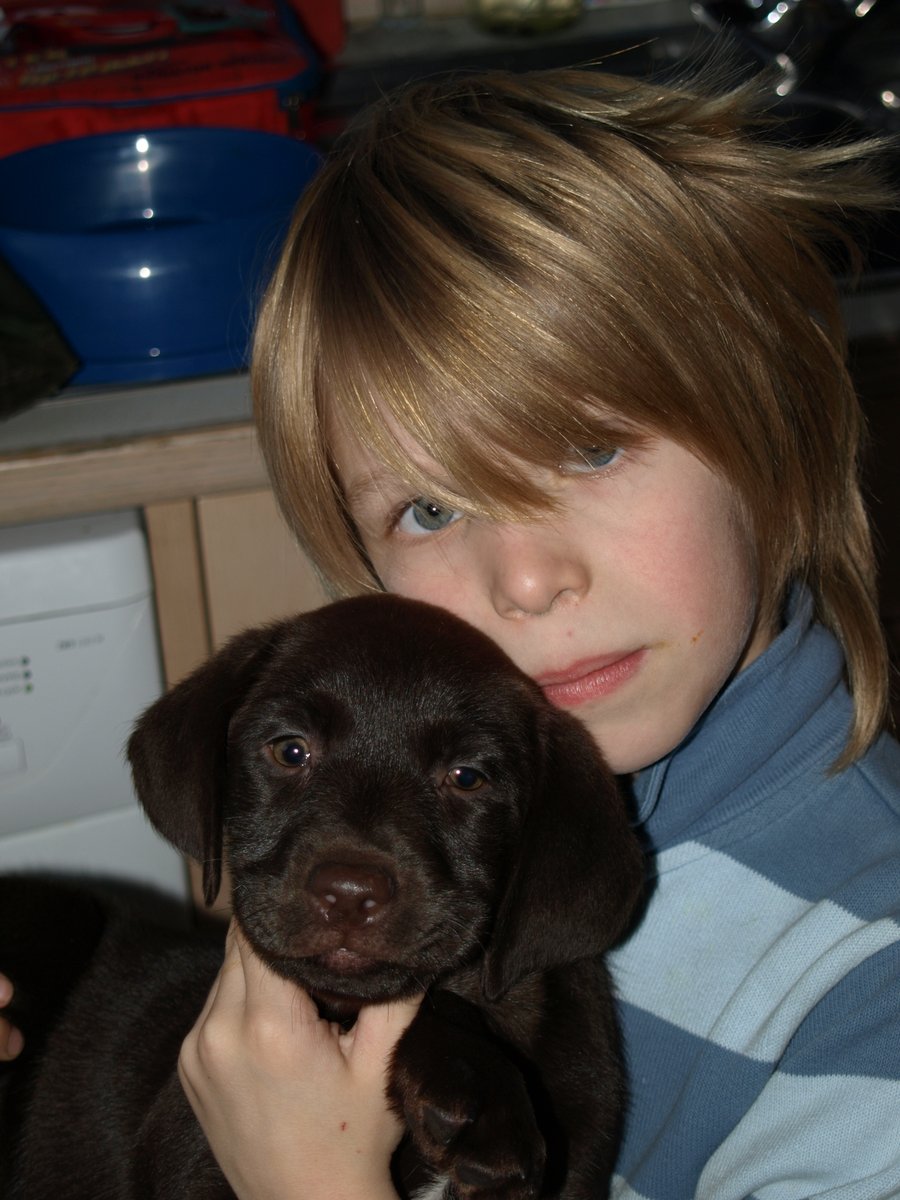 Julie Ashworth tweet media