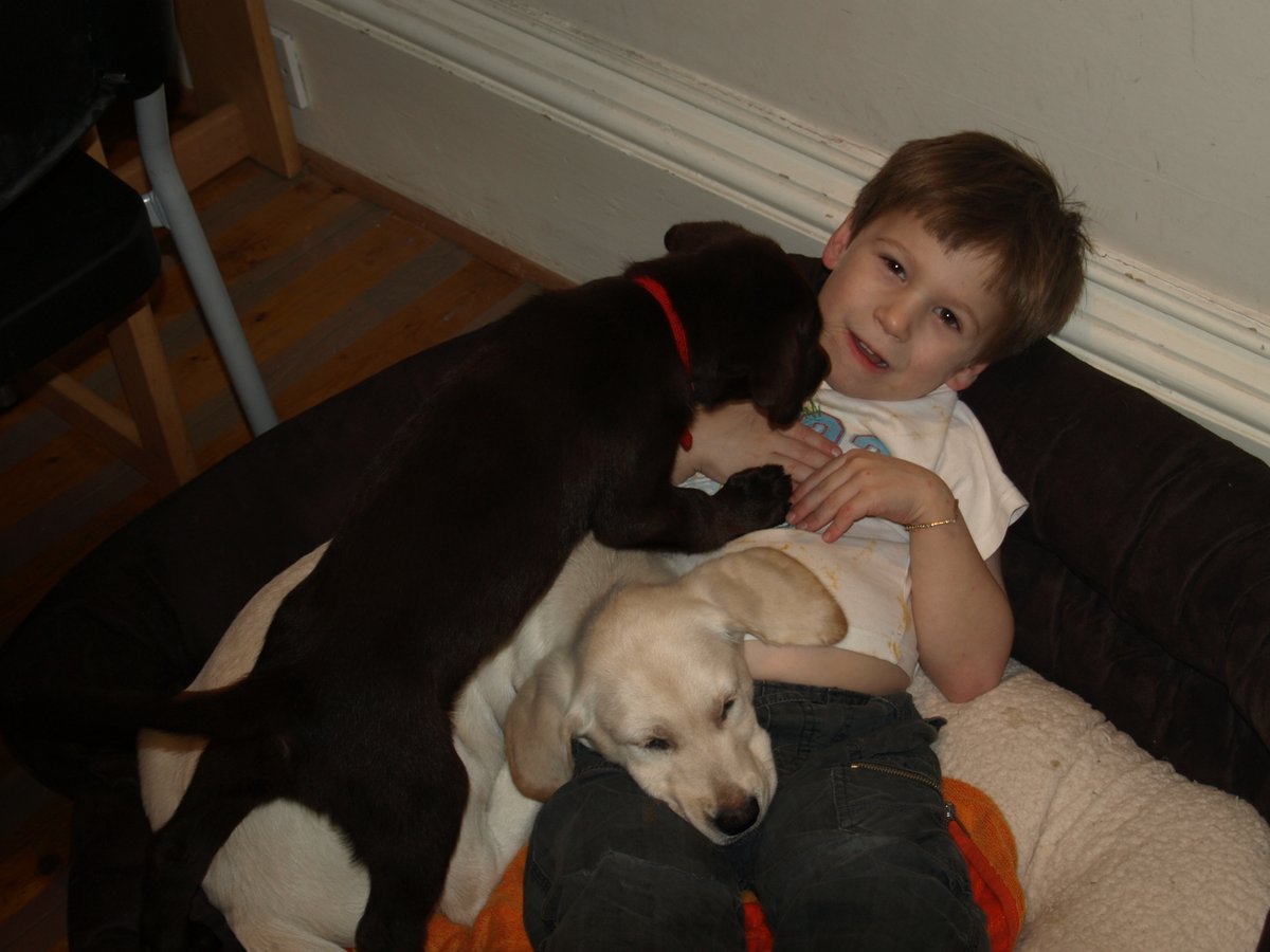 Julie Ashworth tweet media