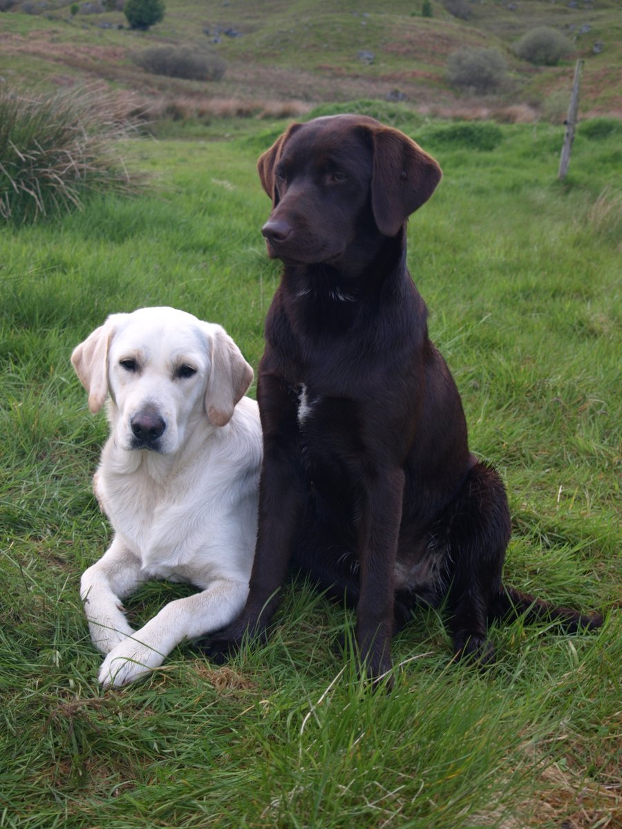 Julie Ashworth tweet media