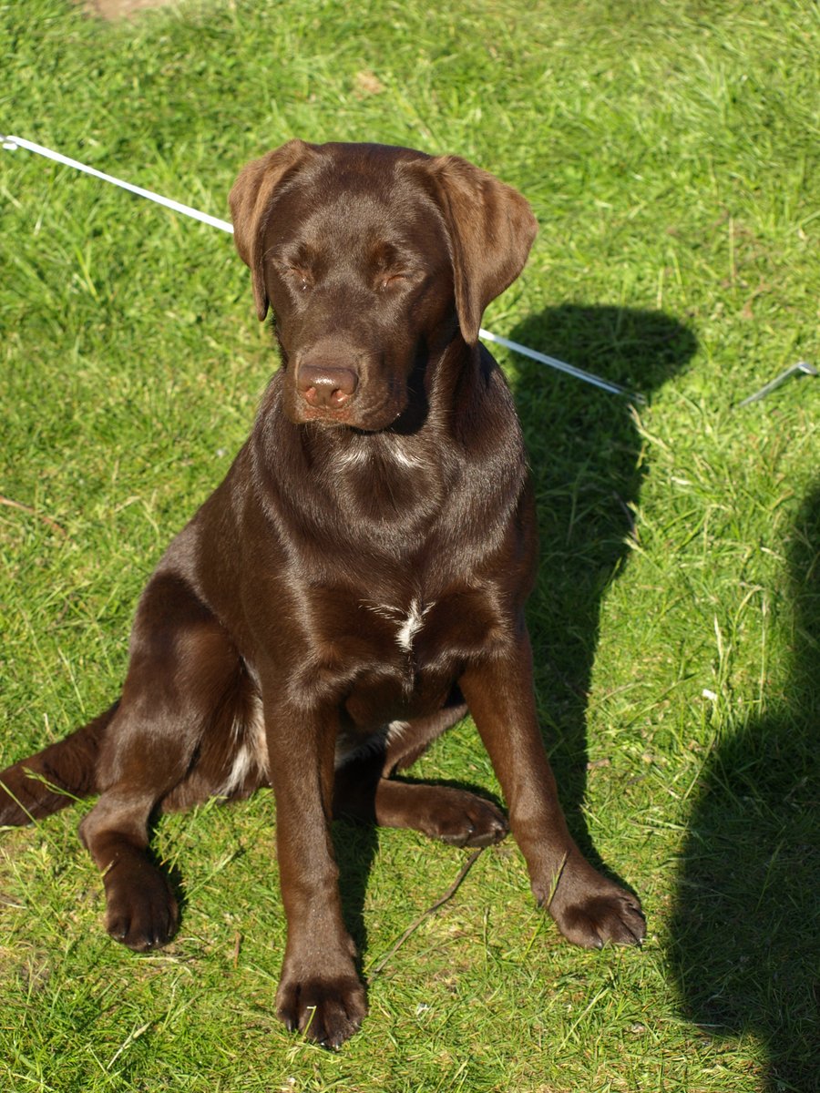 Julie Ashworth tweet media