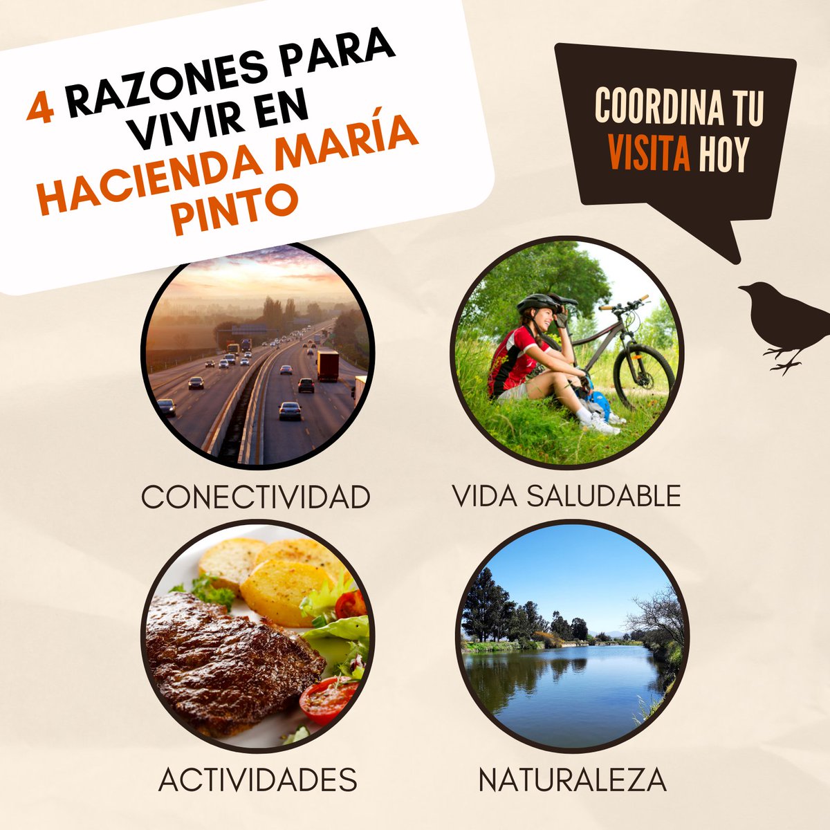 EntrevallesP's tweet photo. Comienza a vivir una nueva vida no tan lejos de la ciudad. Parcelas 100% parcelas de 5 mil m2 a minutos de Ruta 68. https://t.co/1suxxXgDl4 #mariapinto #nuevavida #parcelas #tuparcelastuderecho #entrevallespropiedades https://t.co/b3QjcFVIBI