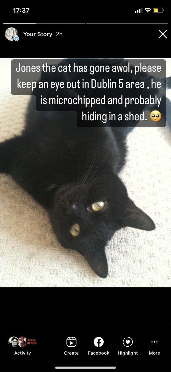 Julie Cooper // Dolittlepresents tweet media