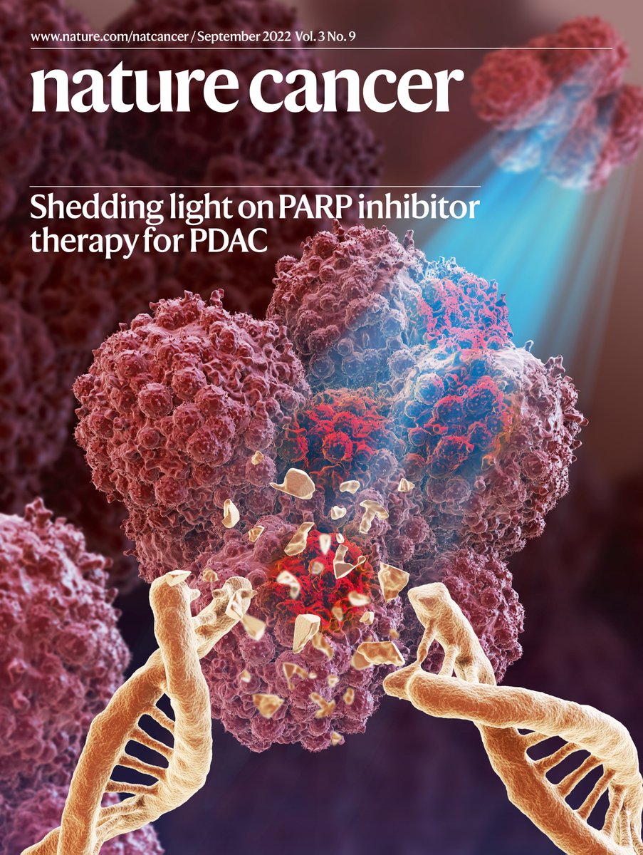 NatureCancer's tweet photo. The @NatureCancer 🍂SEPTEMBER ISSUE🍃 is out - it is beautiful on the outside🧬and filled with exciting science on #Immunotherapy #Covid19 #TherapyResistance #Artificial_Intelligence #DigitalPathology #CancerPlasticity!
DON'T MISS IT 👇
https://t.co/UJzEHQw93u https://t.co/tFgLYNYBby