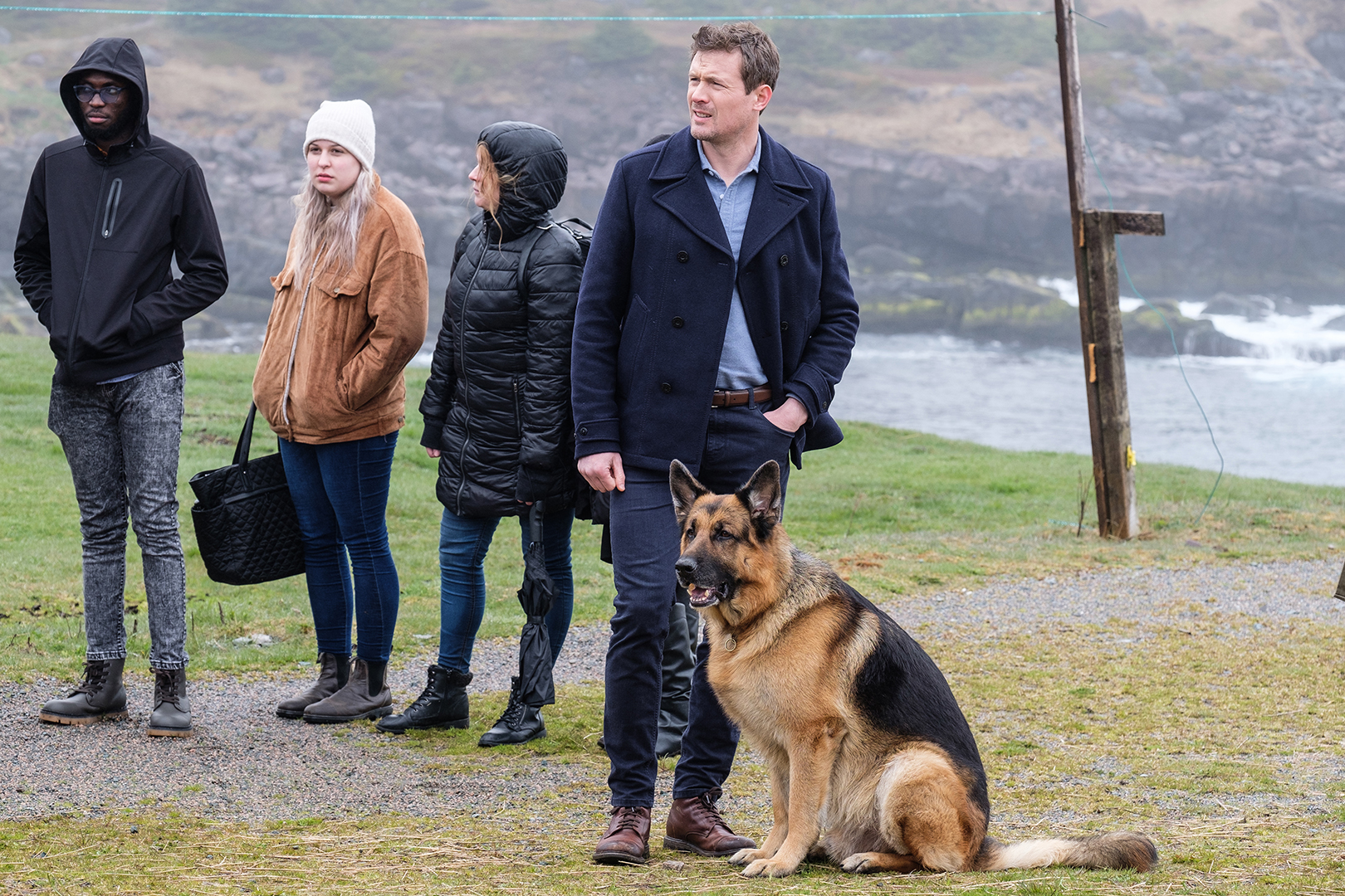 Hudson & Rex on Citytv on Twitter "When a young woman goes missing in