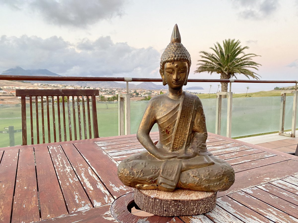 Sattva_Me's tweet photo. Dear Life, please slow down…
I am barely catching up with soaking all your goodness 🙏 
With gratitude,
Me 

#slowdown #pause #meditate #sattvame #mindfulness #meditation #nextlevelyou #gratitude https://t.co/4bivW2pIoi