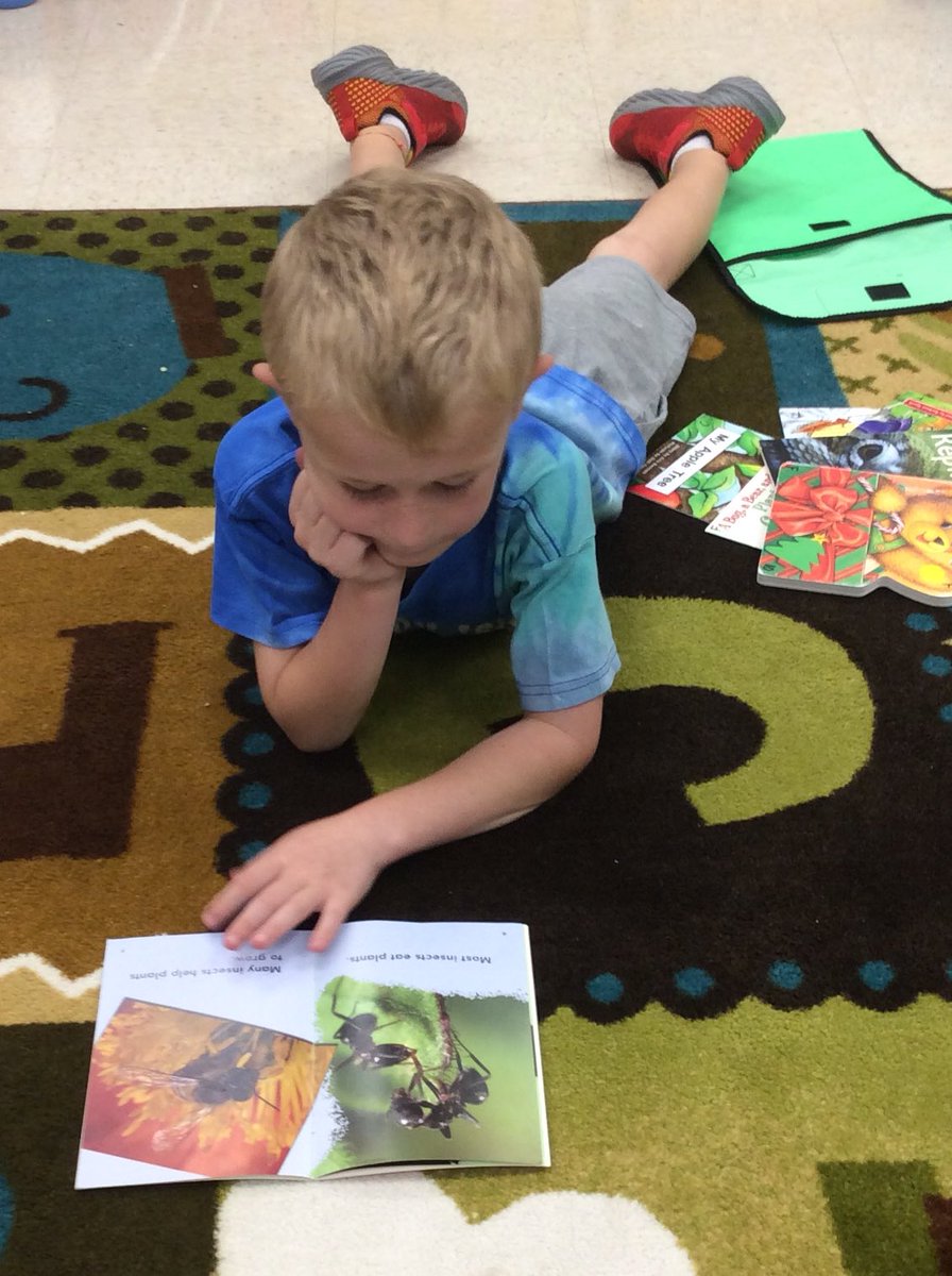 tchanatski's tweet photo. Getting comfy & cozy in our new book nooks!!ππ@Hubbard_School @LanguageArtsRSD #thebestplacetoread #Independentreadingtime #readingcommunity https://t.co/563dnbBWTf