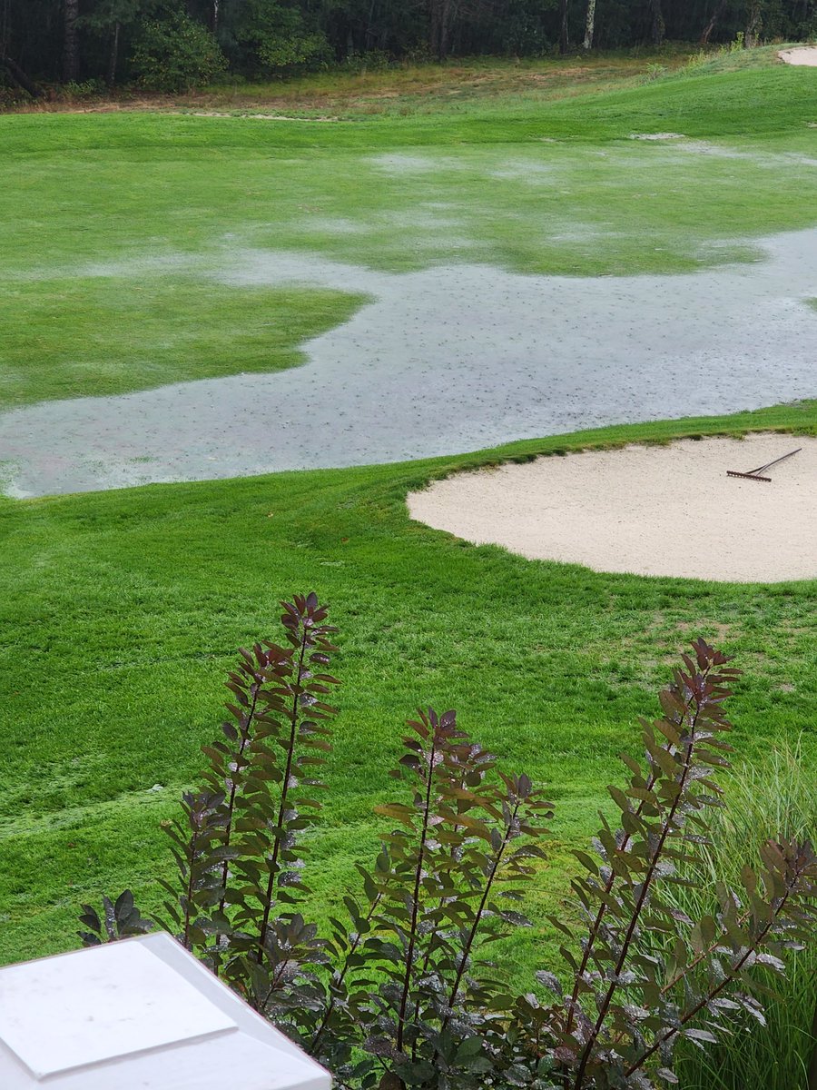 LB_Boston's tweet photo. 4th hole Willowbend today at 3:45 pm.  Distinctly heard someone yell "Noahhh!" https://t.co/smXADwBkxd