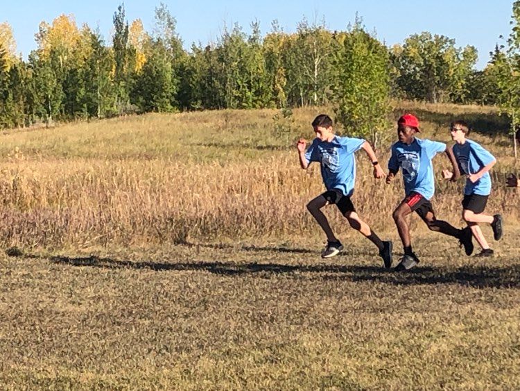 Trois, deux, un… c'est parti! Durant la première compétition de cross-country, La Rose Sauvage a  remporté la première place chez les garçons de 8e, 9e et les filles de 8e. 
Bravo et bonne chance la semaine prochaine ! <a href="/CSFrancoSud/">FrancoSud</a>