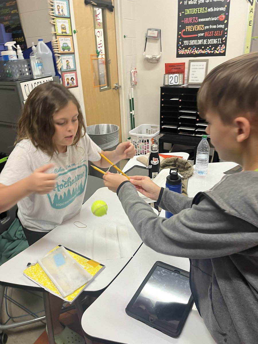 Sharon Brown tweet media