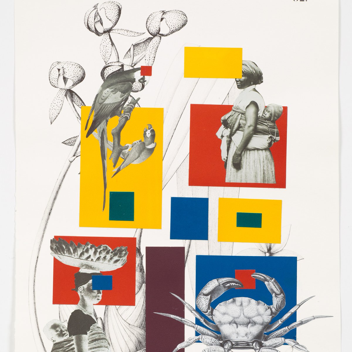 .<a href="/UT_VAC/">Visual Arts Center</a> presents "Social Fabric: Art &amp; Activism in Brazil," an exhibition opening tomorrow showcasing 10 contemporary artists critically engaging with the political &amp; cultural histories of Brazil. Read about three new exhibitions in our Newsroom: utx.global/3BXIXYB.