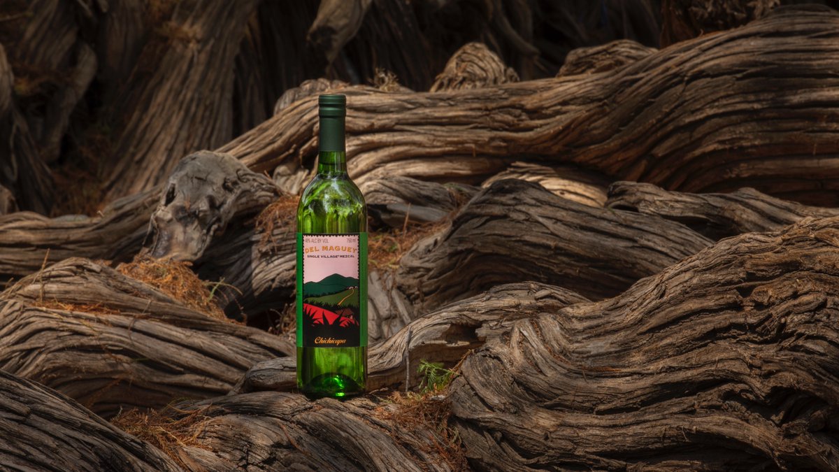 San Baltazar Chichicapam is a magical place.  The river is filled with enormous Sabino trees (Montezuma Bald Cyprus) that tower over the banks and cover the place with their incredible roots.  loom.ly/YwlB7kg