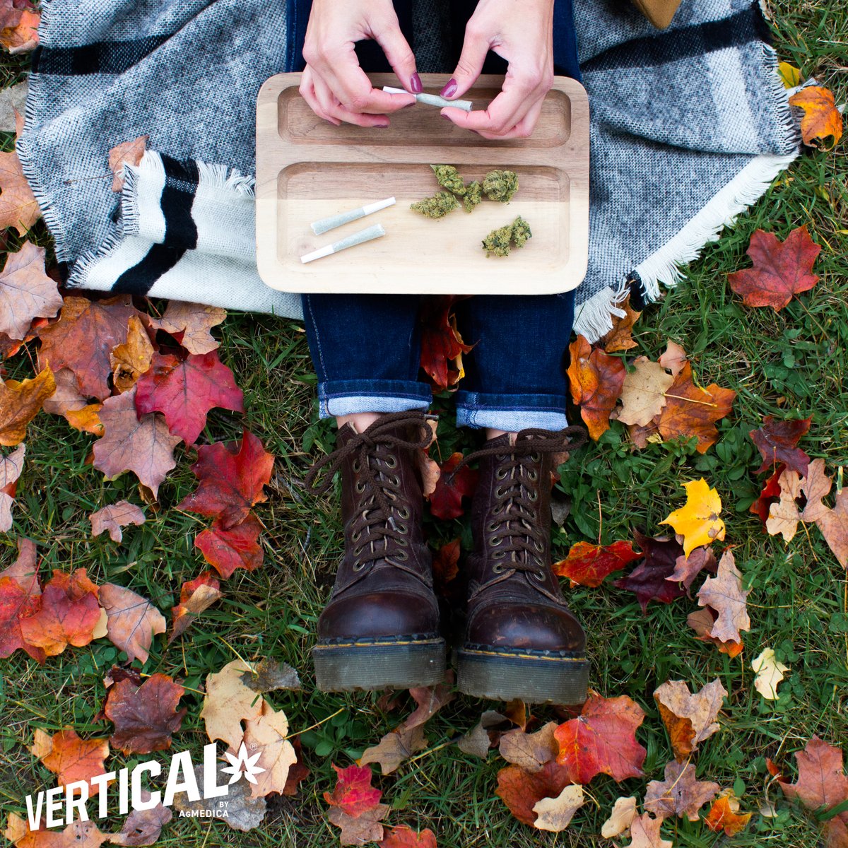 Today marks the first day of fall 🍁🔥

The days are getting shorter and the air is getting crisper. Comment below and tell us about your favourite fall activity.

verticalcannabis.ca

#VerticalCannabis #ElevateYourExperience #Fall #driedflower #preroll