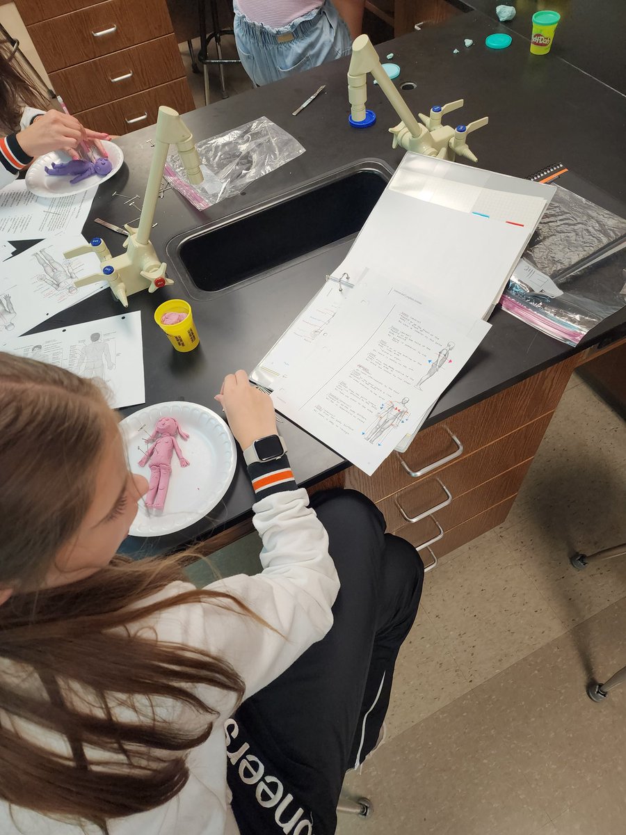 FortCalhounSci's tweet photo. Practicing our anatomical terminology today with student-made playdoh voodoo dolls.  #medialproximaldorsal #physiologyismagic https://t.co/rTLyugOfm1