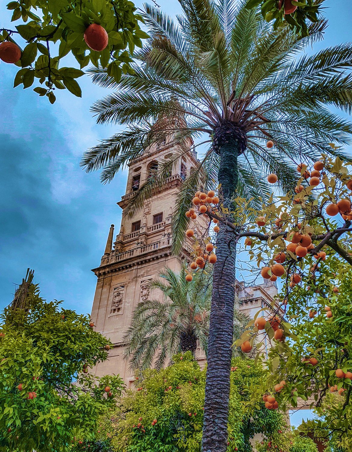 Minnie(ﾐﾆｰ)Fashionﾊﾞｲﾔｰ on Twitter 