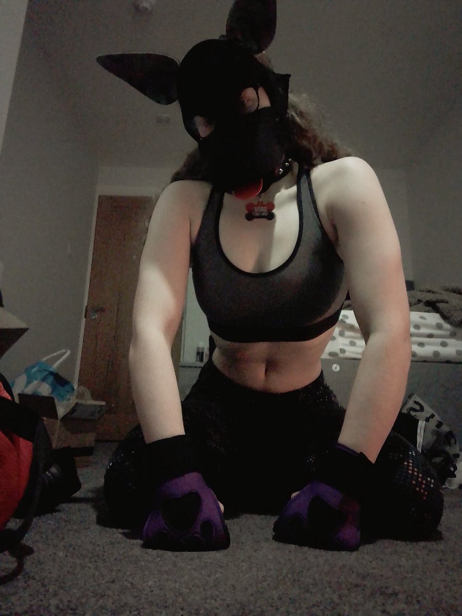 PupOatie's tweet photo. Teach me some tricks 🥺

#petplay #pupplay #femalepup #puppygirl https://t.co/u5769eohQW