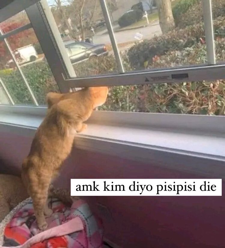 badmouserip's tweet photo. https://t.co/XKDq3wUuLj