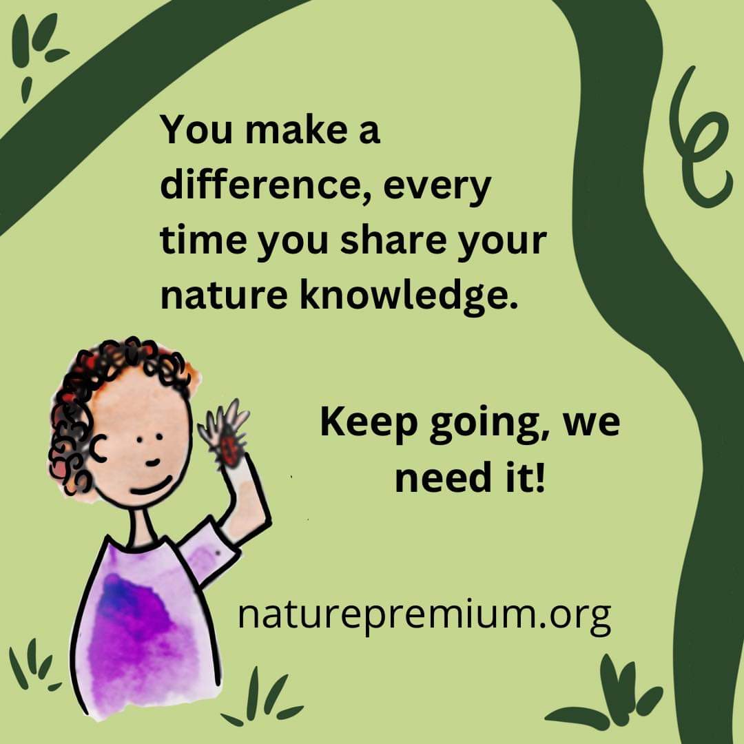 NaturePremium1's tweet photo. The #NaturePremium is for every child. So that they all grow up greener.  #LevellingUp #Access #GreenSpace #NaturePlay #MentalHealthMatters https://t.co/nLaqPYCUE1
