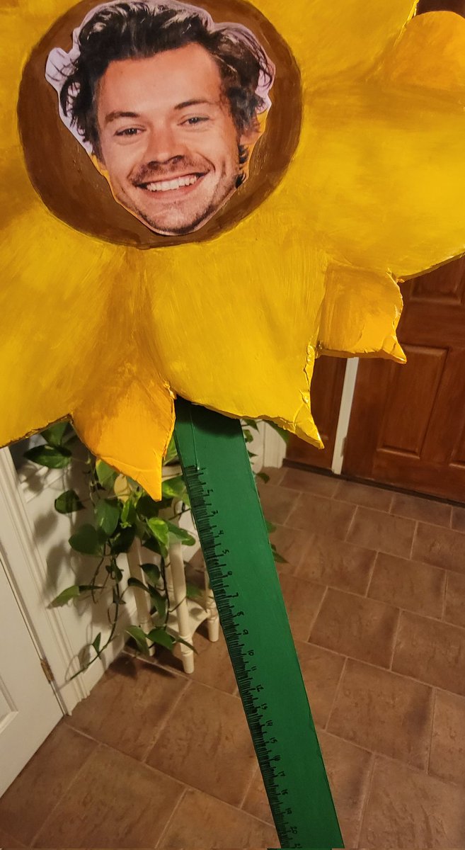 TConnearney's tweet photo. Meter Stick Project ๐ป๐คฃ #HarryStyles #JCJH #Sunflowers #schoolproject #yoursogolden #harry #meterproject https://t.co/9aopWS3E2E