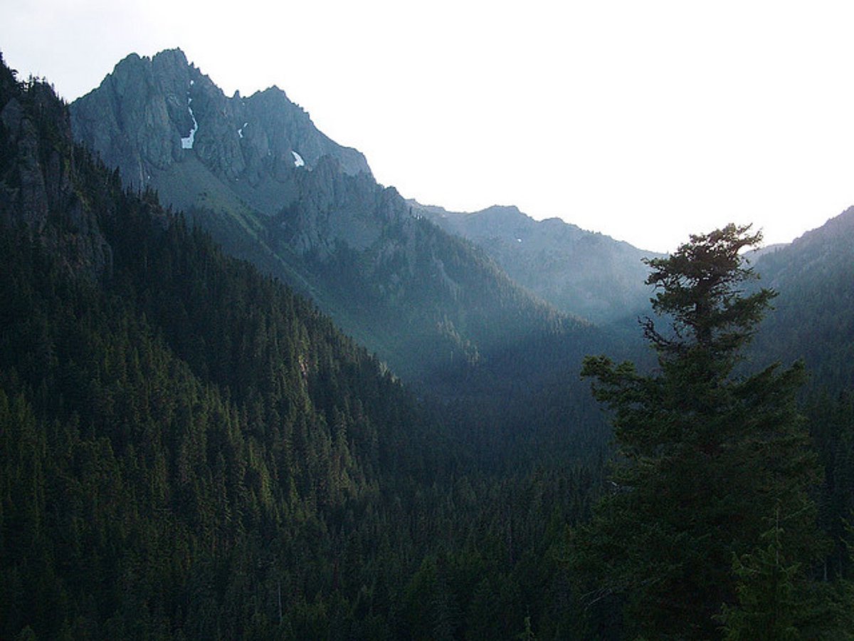 ForestServiceNW's tweet photo. In PNW alone, National Forests store 2,400 Teragrams of carbon. That's the same amount as from 1.8 billion cars driven for a year. Across the Nation, Forests store 13,800 Teragrams or a whopping 10.35 billion cars driven for a year!
#NationalClimateWeek https://t.co/UUdGepV46G