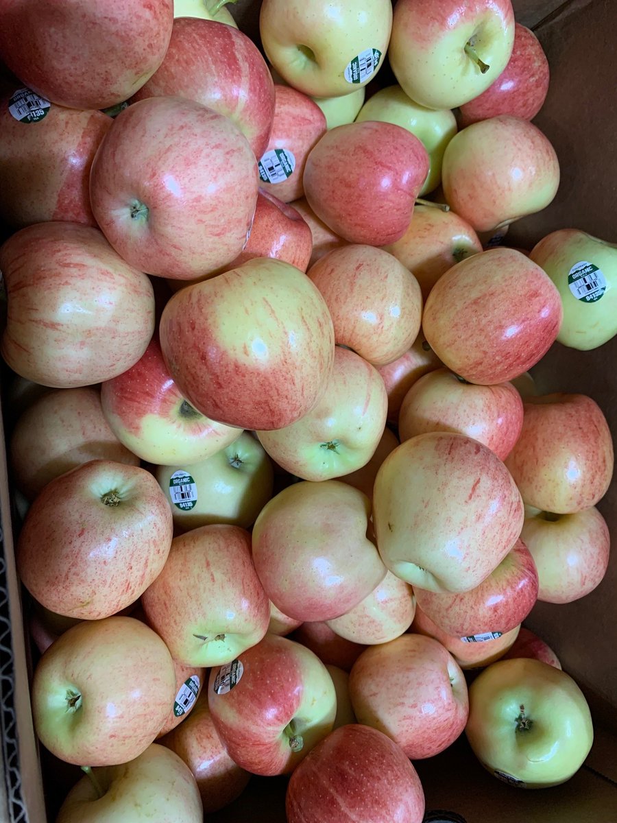 PSDNutrition's tweet photo. The fruit of the month is apples! We received beautiful, organic & local apples from Rogers Mesa Fruit in Hotchkiss, Colorado! Students will get to enjoy these wonderful apples next week at all PSD school cafes! #Coloradoproud #Supportcolorado #PSDproud https://t.co/DfnSqp0S7d