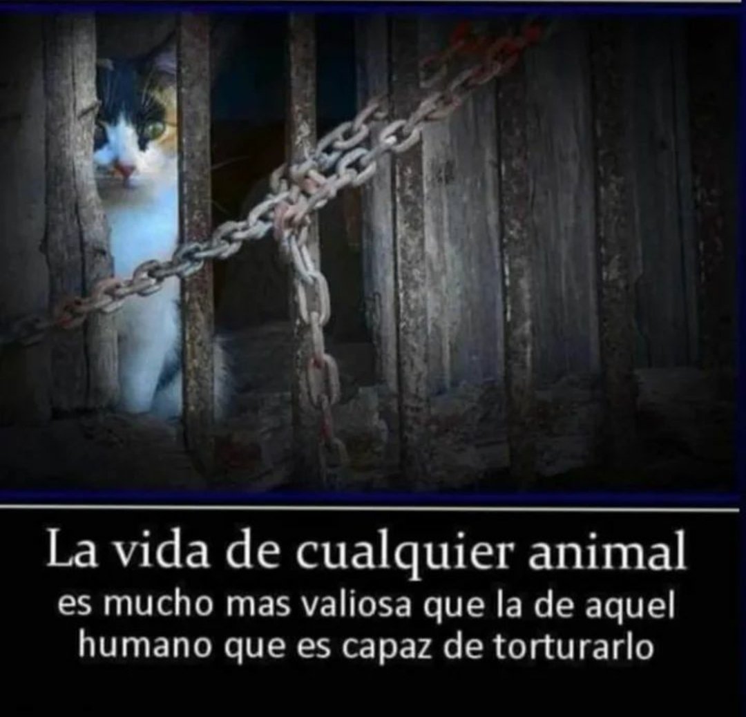 siviaromera1's tweet image. Feliz noche a casi todos 😪
#NOHABRAPAZPARALOSMALVADOS