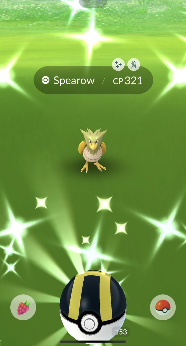 PkmnGoNeo's tweet photo. I have gone out in the world and hunted for a Shiny Spearow many times before but to no avail. Then, today while sitting on my couch this pops up!!! #Pokemon #PokemonGo #ShinyPokemon #Spearow #ShinyCheck #PokemonGOfriends #instagramdown #TREASURE #ポケモンGO #ポケモン https://t.co/8h6EBEeTJ1