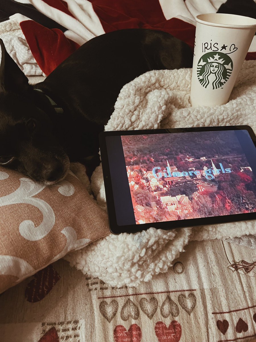 iris_cola's tweet image. My videogame “Oak Hill” has strong Autumn Vibes in it, and I think that my home - the Mountains - inspired me a lot in the process of imagining &amp;amp; creating the world of Oak Hill. Here’s some #AutumnVibes , welcome Autumn!🍂🪵✨🎃 #gamedev #gamedeveloper #game