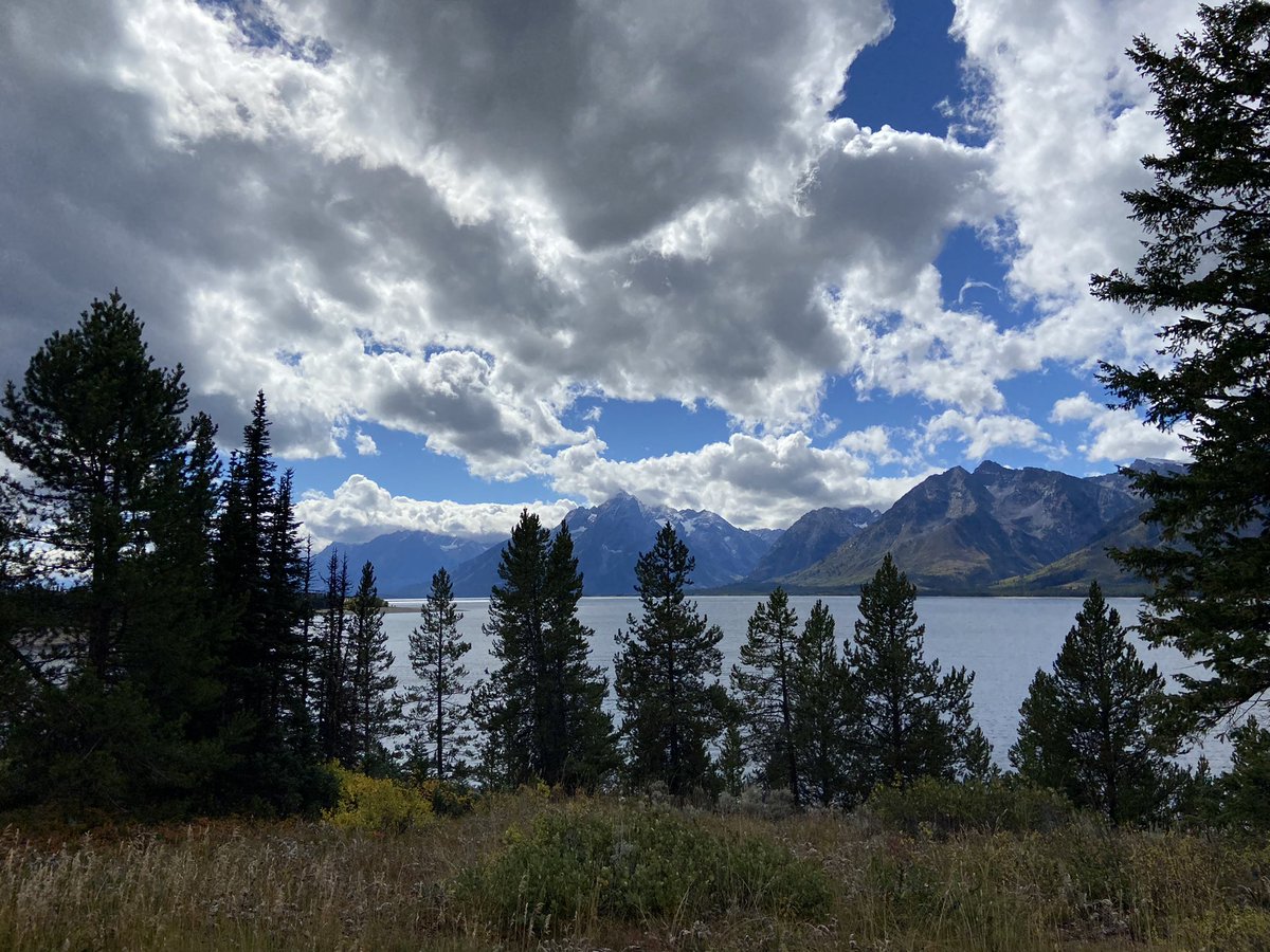 Current view from UW-NPS field station in <a href="/GrandTetonNPS/">Grand Teton National Park</a>. This could be your field site. Apply today!