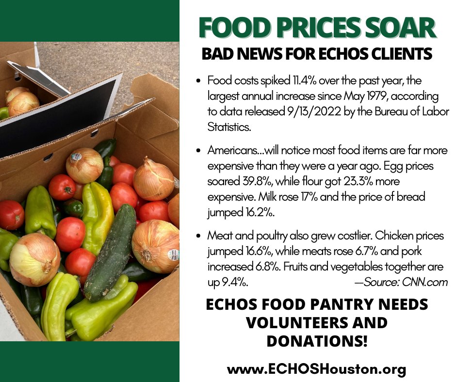 EchosHouston's tweet photo. As food costs continue to rise, ECHOS is now serving more than 300 families each week in its Food Pantry. Please contact Jennifer at 713-705-9718 to help provide nonperishables, fresh produce &amp; meat to our neighbors facing food insecurity. Or volunteer at https://t.co/UImlARLOle https://t.co/YpdyMvxxLQ