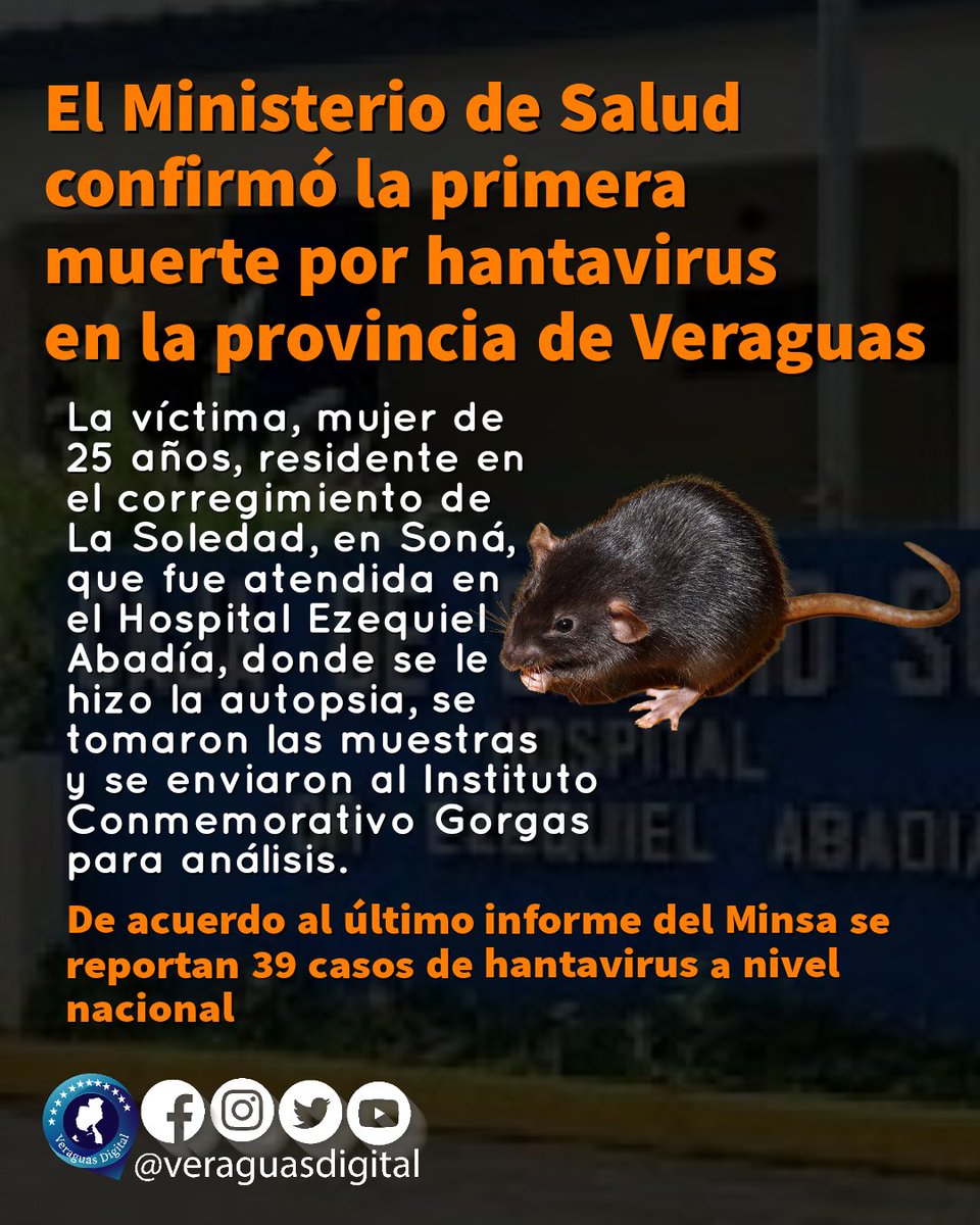 Las autoridades de Salud recomiendan  que mantengan sus casas y entornos limpios. Todo lo que tenga que ver con la recolección de granos; mantengan limpios los predios e interior (fogones y utensilios) protegidos para evitar tener contacto con las heces y orina que deje el roedor
