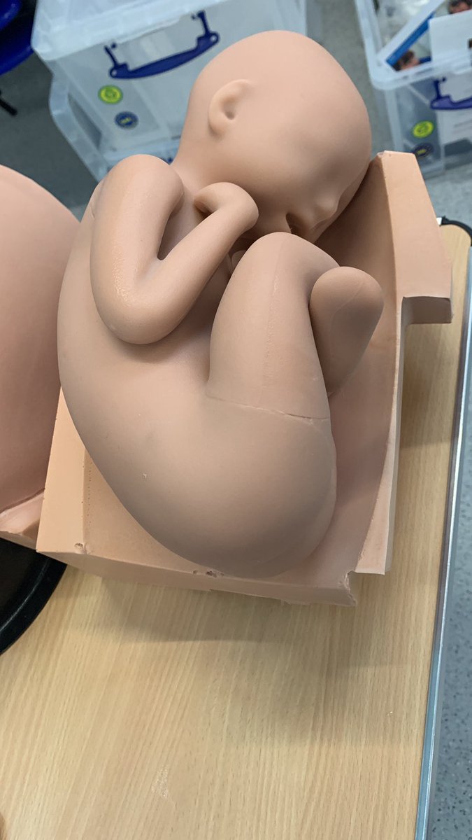 WendyMccracken6's tweet photo. The whole CAE family are comfortable, well cared for & in action with the fantastic team at De Montfort University. Thank you....absolute pleasure being with you all this week! #dmu #caelucina #carares #caeluna #caearia #caeapollo #caejuno #caelearningspace #caehealthcare https://t.co/BTx7nBXAWm