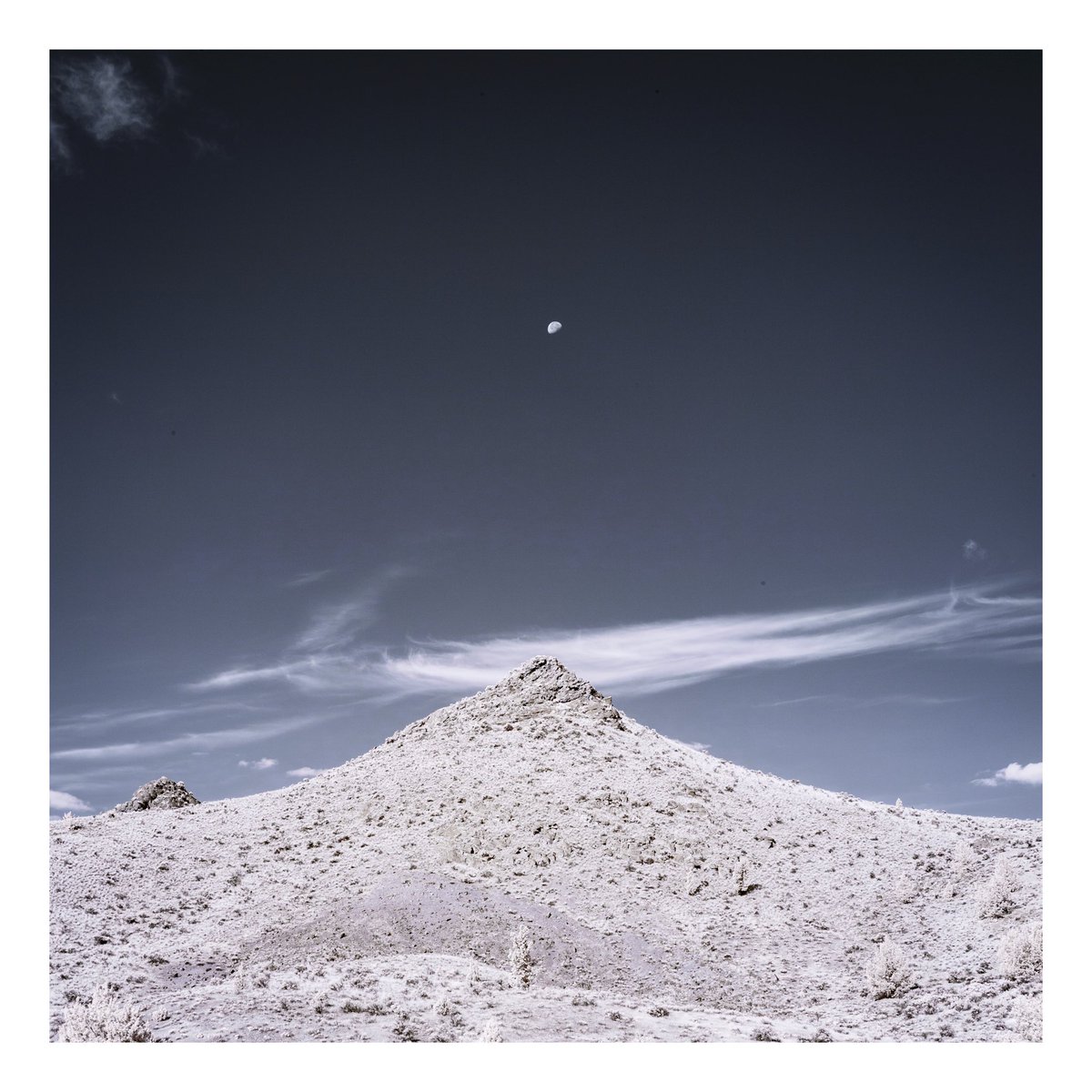 olhausenphoto's tweet photo. Near The Painted Hills in Infrared #landscape #landscapephoto #landscapephotography #landscapeimage #canonlandscapephoto #infrared #infraredphotography #infraredphoto #infrared_images #infraredimage #infraredimages #invisiblelight #infrared_global #infrared_photography https://t.co/4NkRwMz6m4